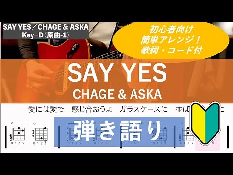 SAY YES／CHAGE&ASK 【歌詞＆コード付】【アコギ弾き語りカバー】