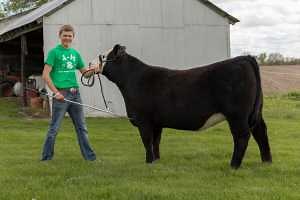 Virtual Learning Showcase & Auctions