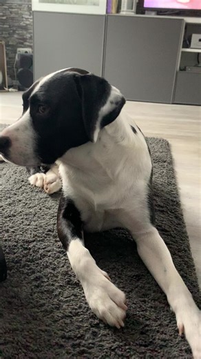 Morphsuit (@morphsuit2)’s videos with Originalton - Morphsuit