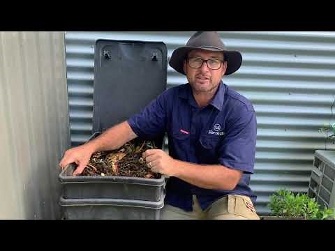 Earthworms vs Compost worms