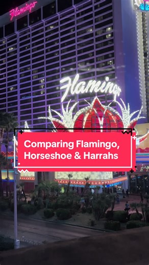 Flamingo will always hold a special place in my heart 🩷🥹🦩 but all of the properties are nice for different reasons and different seasons @Caesars Rewards #tiktokgogrow #vegas #vegashotels #vegastiktok #fyp