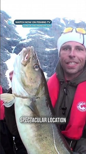 Catching giant cod from a glacier! - ‘Land of the Midnight Sun’ on FishingTV