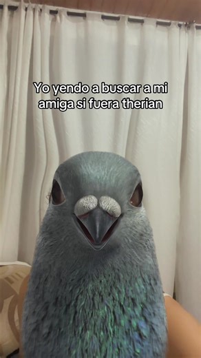 Identificación como Therian: Sin Vergüenza ni Miedo