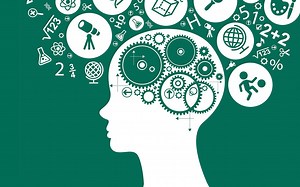 AP心理学笔记 心理学入门 心理咨询师自学 AP Psychology Unit By Unit Notes by Mrs. Rice（已完结）
