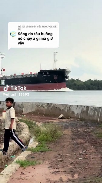 Khám Phá Sông Lòng Tàu và Những Con Tàu Buôn