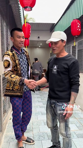 Ship gà tận nhà giang H.ồ m..ạng @longchinngon_8386 @Long Gà Chọi Víp #xuhuong #thaicabinshop #xuhuongtiktok #thaicalvin #fyp #longchinngon