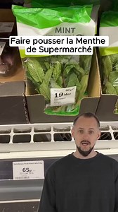 1.1M views · 10K reactions |  Menthe supermarché = Menthe illimité ? 彩 Découvrez comment transformer votre menthe de supermarché en véritable buisson luxuriant. Cette méthode simple vous garantit une croissance rapide et abondante. Fini le gaspillage, bonjour les mojitos maison !  Crédits : marfskitchengarden #Jardinage #Plantes #DIY #AstuceMaison | JardiTips, Astuces Jardinage | Facebook