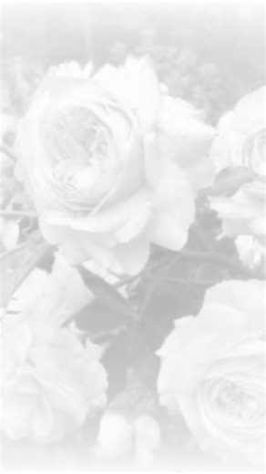 Hashy♡ on Instagram: "(⁠.⁠ ⁠❛⁠ ⁠ᴗ⁠ ⁠❛⁠.⁠) #roblox #male #version"