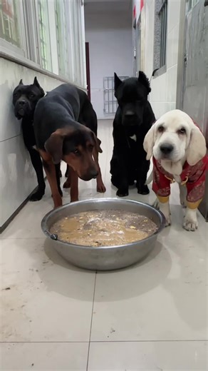 វីដេអូ​របស់ 2002 (@leevea_2002) ជាមួយ original sound - 2002