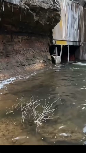 The Bizarre File on TikTok