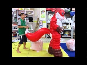 Fashion style-Inflatable double PVC layers fox costume.