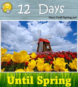 The Countdown to Spring 💛🌈🌷 🌈 👉 https://daysuntilspring.net 👈 🌸 . #Spring #Spring2025 #SpringCountdown #countdown #sunandfun #CountdowntoSpring | Spring Countdown
