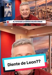 Diente de León: Lo que vengo diciendo