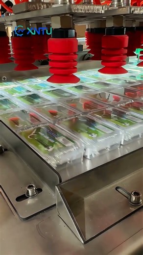 Cotton Swab Factory Win: Robotic case Packer 400 Boxes/Min #casepacker #robotic #packagingmachine