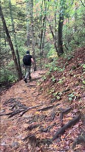 This Vertx Transit sling is great for short hikes! Holds everything I need with room for more #EDC