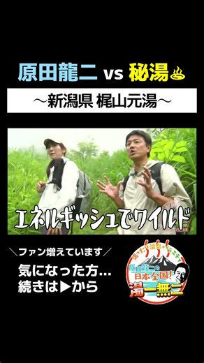 [The Wildest Wild Hot Spring in Niigata] The Fossa Magna is Apparently Energetic and Wild! [Kajiy...