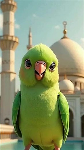 Beautiful parrot reciting naat 😚😇#shortsviral