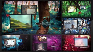 Dreaming Forest Slideshow