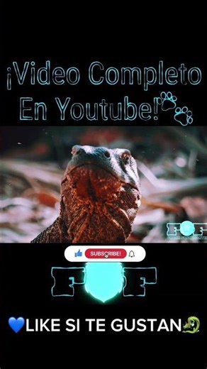 Así Funciona la Estrategia del Komodo