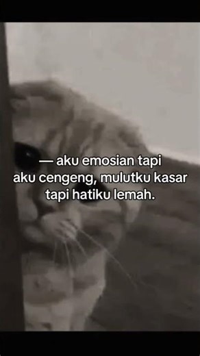 /|| ... ||\\{"simpleText":"Sign in"}{"simpleText":"Sign in"}{"runs":[{"text":"Save"}]}Want to watch this again later?bear_off!cial{"simpleText":"Personalized"}{"simpleText":"None"}{"runs":[{"text":"Unsubscribe"}]}bear_off!cial?bear_off!cial?LIVE{"content":"Tranquil Cafe Jazz"}{"content":"912 watching"}LIVE{"content":"Danny Rain Natural"}{"content":"197 watching"}LIVE{"content":"PIANO CON AMOR"}{"content":"652 watching"}LIVE{"content":"Collins Creek Critters"}{"content":"477 watching"}1:21:48{"co