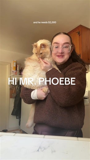 Support Mr. Phoebe's Dental Procedure