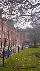 3.8K views · 23 reactions | Saying good bye to beautiful Autumn around Trinity College Dublin campus. #Ireland #StudyinIreland #TCD | Education in Ireland ASEAN | Facebook