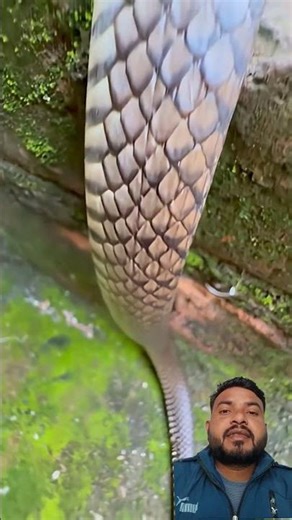 Transform Your Home with These Cool Tools! 🔧 #shorts #gadgets" K99+ KL part 269