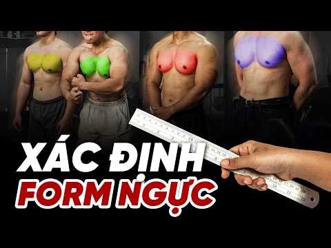 Xác Định CƠ ĐỊA FORM NGỰC Và Cách Lựa Chọn Bài Tập Phù Hợp | SmallGym