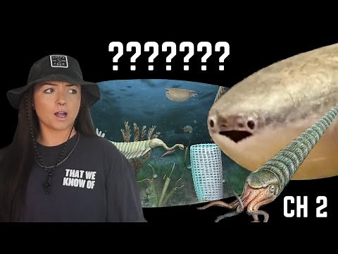 The Ordovician Period (That We Know Of) | Lindsay Nikole