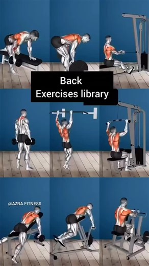 3.1K views · 117 reactions | Back exercises full chart #fblifestyle | Azra Fitness | Facebook