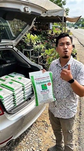 Cara mudah hapuskan kulat akar & pulihkan pokok!