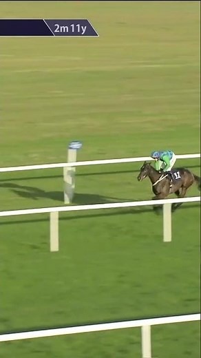 Le Divin Enfant - one to watch for Willie Mullins 👀 #horse #horseracing #racingtv #sport