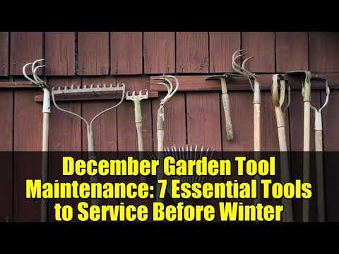 December Garden Tool Maintenance: 7 Essential Tools to Service Before Winter