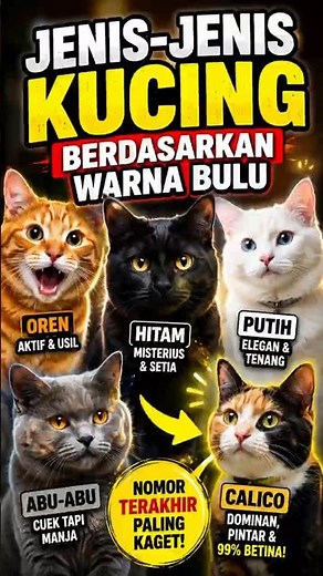 Cat Types Based on Fur Color: Turns Out They Have Different Characters!