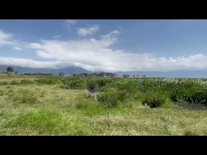 Inside the Most Exclusive Safari on Earth - Ngorongoro Crater