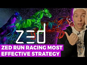 BEST Zed Run Racing Strategy (Guaranteed Wins)