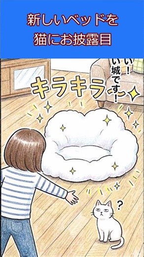 猫のために高級ベッドを買った結果 #猫 #shorts