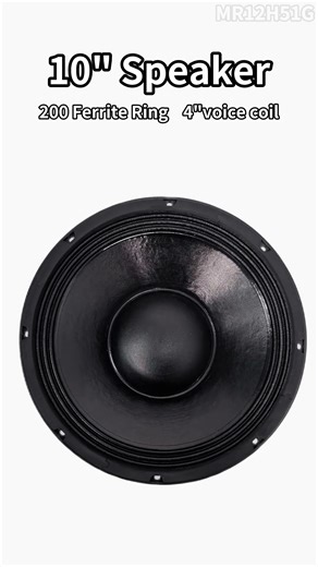 12 inch speaker