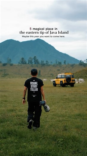 Ijen, Baluran, Djawatan, Menjangan, Tabuhan, Sukamade on Instagram: "This year is the right time to explore Indonesia’s natural beauty on the eastern tip of Java Here are the best destinations that we recommend for your trip: 1.Menjangan Island A hidden paradise in West Bali with clear seas and stunning coral reefs. The snorkeling and diving experience here will be an unforgettable moment. 2. Djawatan Forest Feel the sensation of walking in a magical forest with rows of giant trembesi trees. An