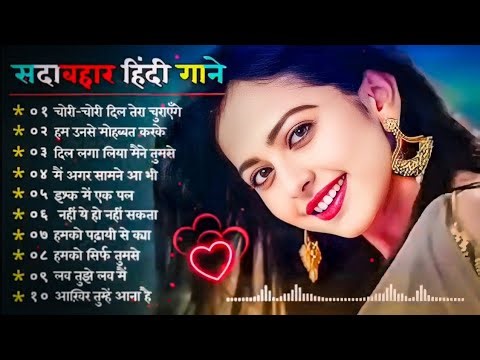 My new vlogs| daily vlogs | first vlogs video 