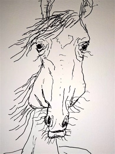 Drawing Horses: Overcoming Artistic Challenges