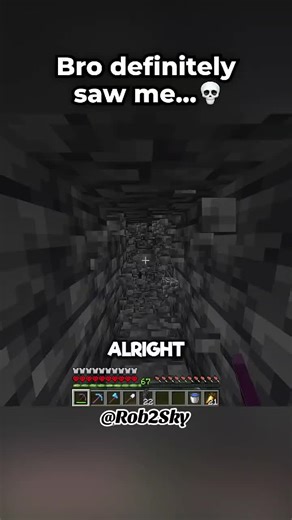 #minecraftmemes #minecraft #foryoupage #viralvideo