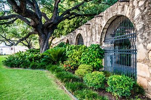 25 Garden Wall Ideas That You’ll Love