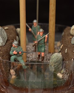 430K views · 1.2K reactions | Beneath the Forest Canopy, Between Life and Death | DIY & Crafts | Facebook