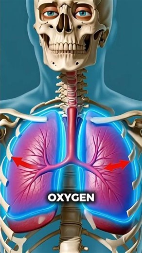 If You Stay Angry Forever, Your Body Suffers Horribly