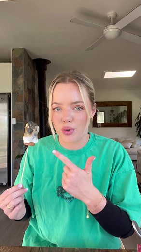 Tim Tam Skewer Marshmallow Fluff Drakes Roasting