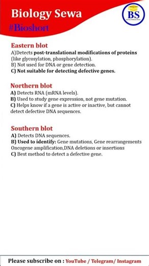 Explanation of all Blots || Southern Blot || Western Blot #ltgradebiology
