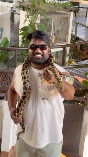 Playing with Python | Thailand
