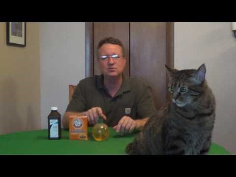 How To Remove Skunk Smell From a Dog or Cat