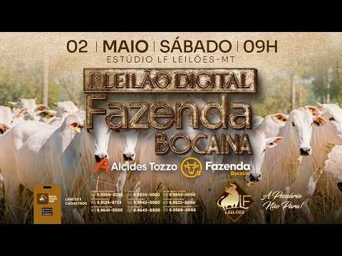 01º Leilão Digital FAZENDA BOCAINA - LF Leilões 02 05 2026 09:00 horas.